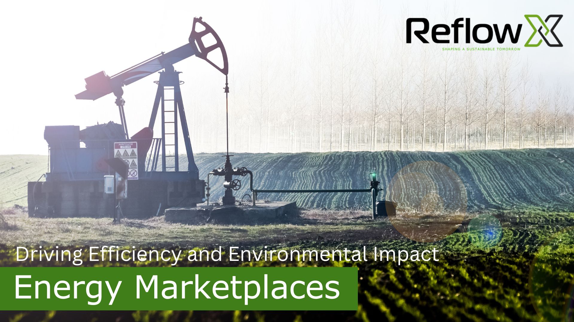Marketplaces for Sustainable Energy: Driving Efficiency and Environmental Impact
